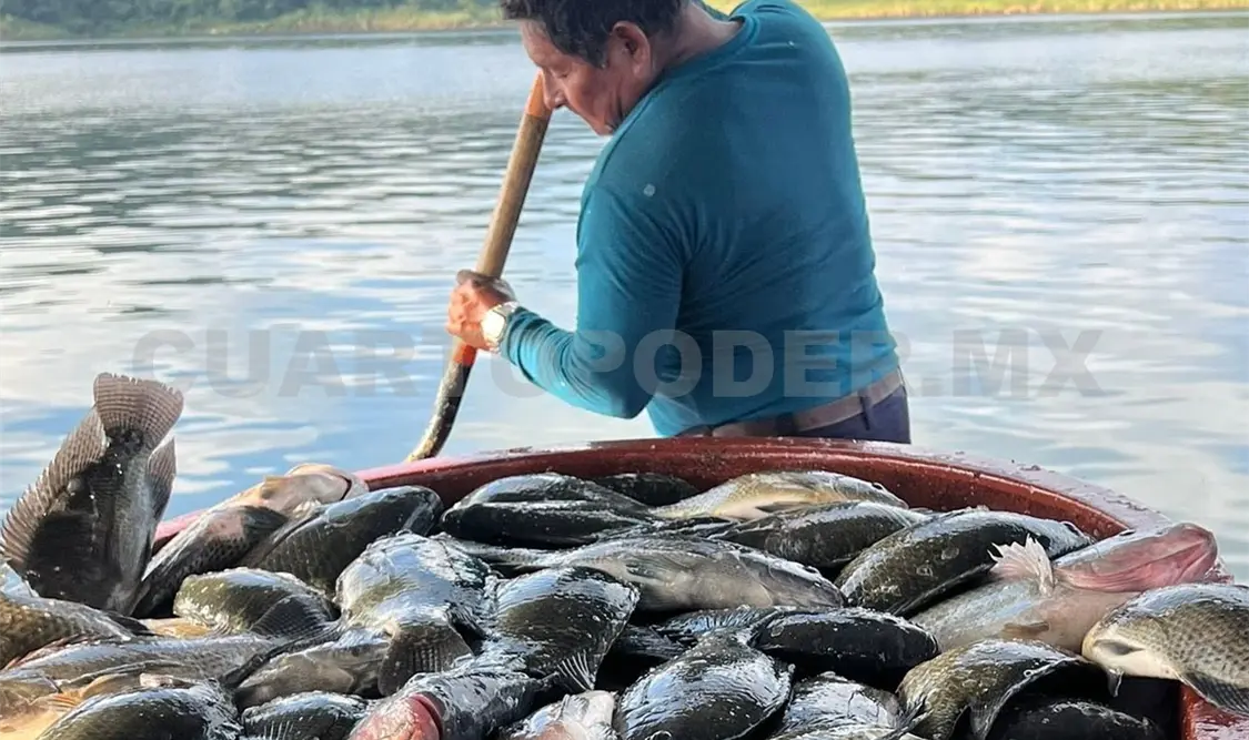 La SEyT busca acompañar al sector productivo chiapaneco. CP