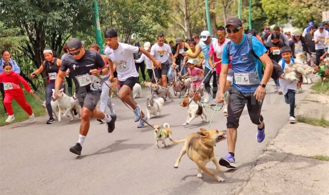 El objetivo es correr junto a las mascotas. Manuel Martínez / CP