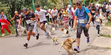 Realizarán la carrera Perrotón 2026 Realizarán la carrera Perrotón 2026