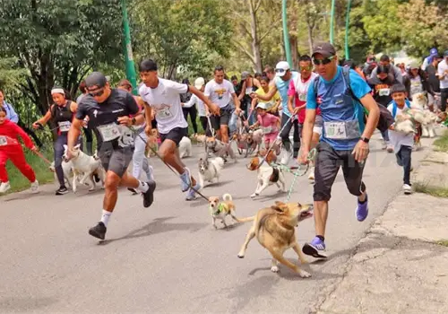 Realizar&aacute;n la carrera Perrot&oacute;n 2026
