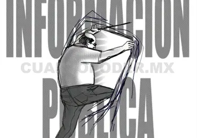 El derecho al acceso a la informaci&oacute;n...