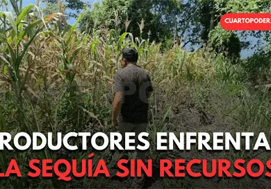Contin&uacute;an productores agr&iacute;colas sin recursos