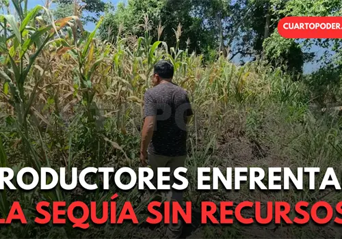 Contin&uacute;an productores agr&iacute;colas sin recursos