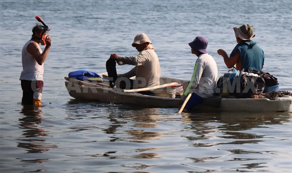 El camarón es una de las especies que más se pesca actualmente. Diego Pérez / CP