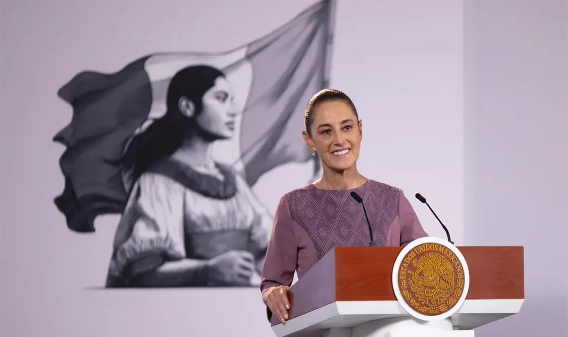 La mandataria explicó que se busca sancionar el uso ilegal de imágenes de instituciones públicas para cometer fraudes. Cortesía