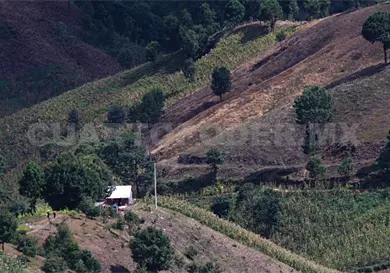 Chiapas, primer lugar en rezago habitacional