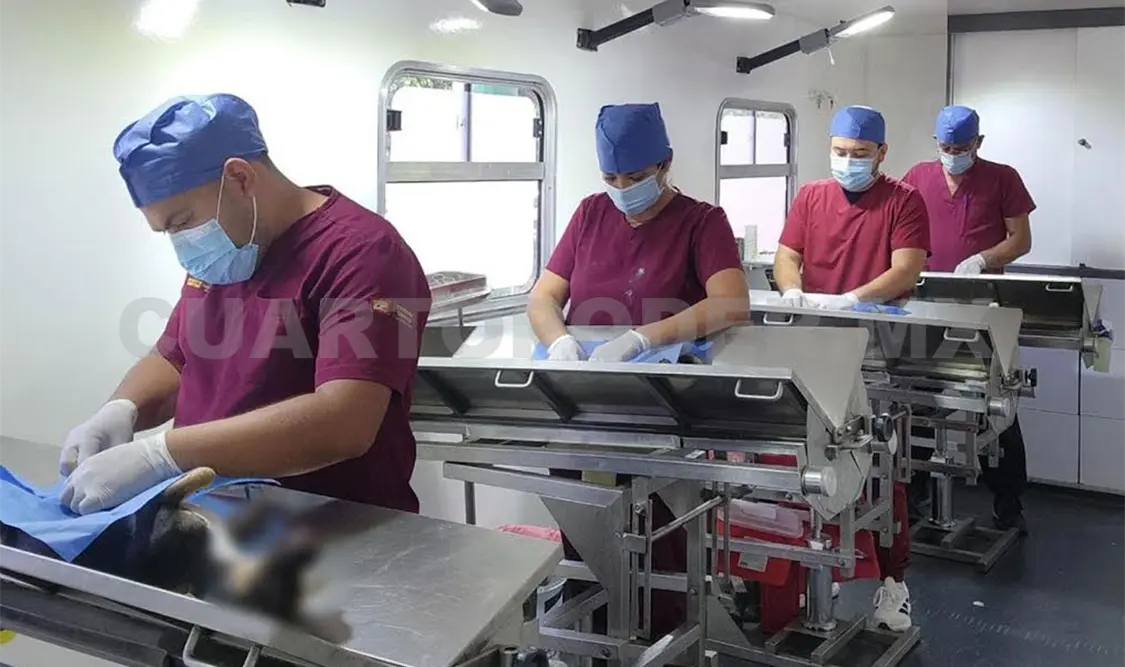 La esterilización es una medida segura, eficaz y definitiva para proteger la salud de las mascotas. Cortesía