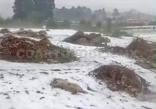 Sorprende granizo a comunidades de San Cristóbal Sorprende granizo a comunidades de San Cristóbal