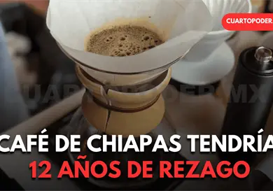 Doce a&ntilde;os de retraso en tecnolog&iacute;a del caf&eacute;, estiman