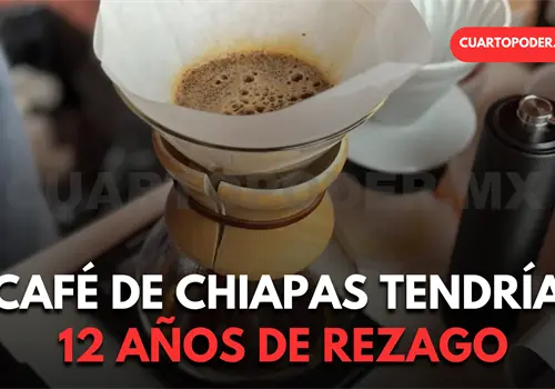 Doce años de retraso en tecnología del café, estiman Doce años de retraso en tecnología del café, estiman