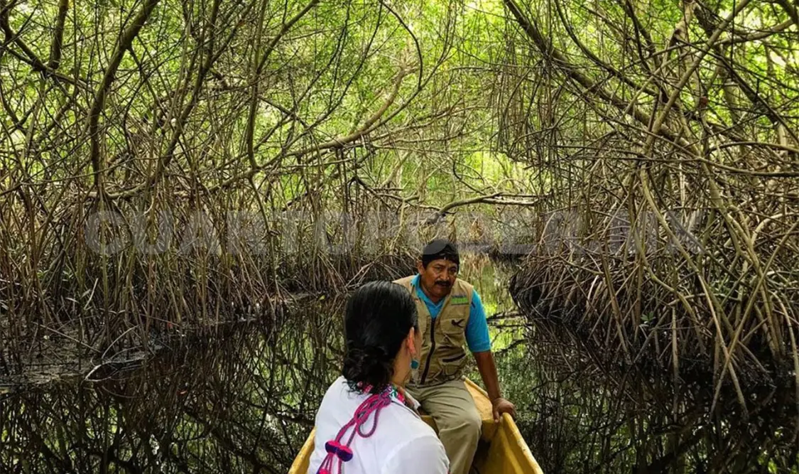 La reserva también resguarda el único bosque de zapotonales (Pachira aquatica) de Mesoamérica. Cortesía