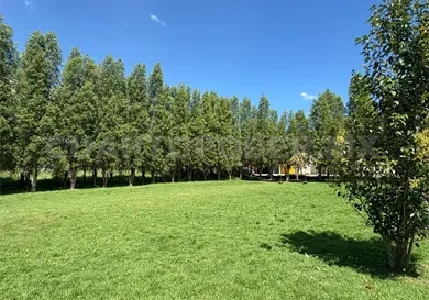 Pretenden dar nuevo cambio de uso de suelo