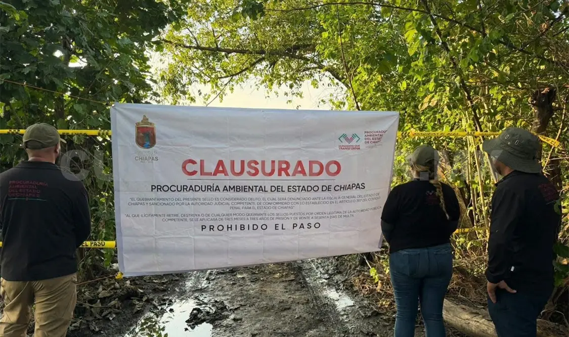 Continuarán realizando acciones para prevenir y combatir las actividades que dañen al ambiente. Rafael Victorio / CP