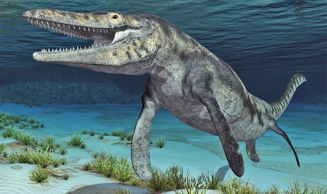Mosasaurus: el gigante que dominó los mares