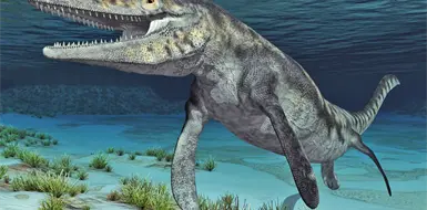 Mosasaurus: el gigante que dominó los mares Mosasaurus: el gigante que dominó los mares
