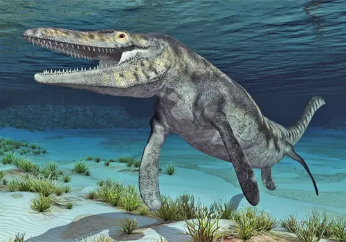Mosasaurus: el gigante que dominó los mares Mosasaurus: el gigante que dominó los mares