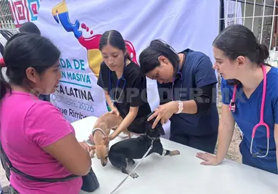 Rebasan meta de 400 perros y gatos esterilizados