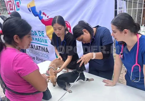 Rebasan meta de 400 perros y gatos esterilizados Rebasan meta de 400 perros y gatos esterilizados