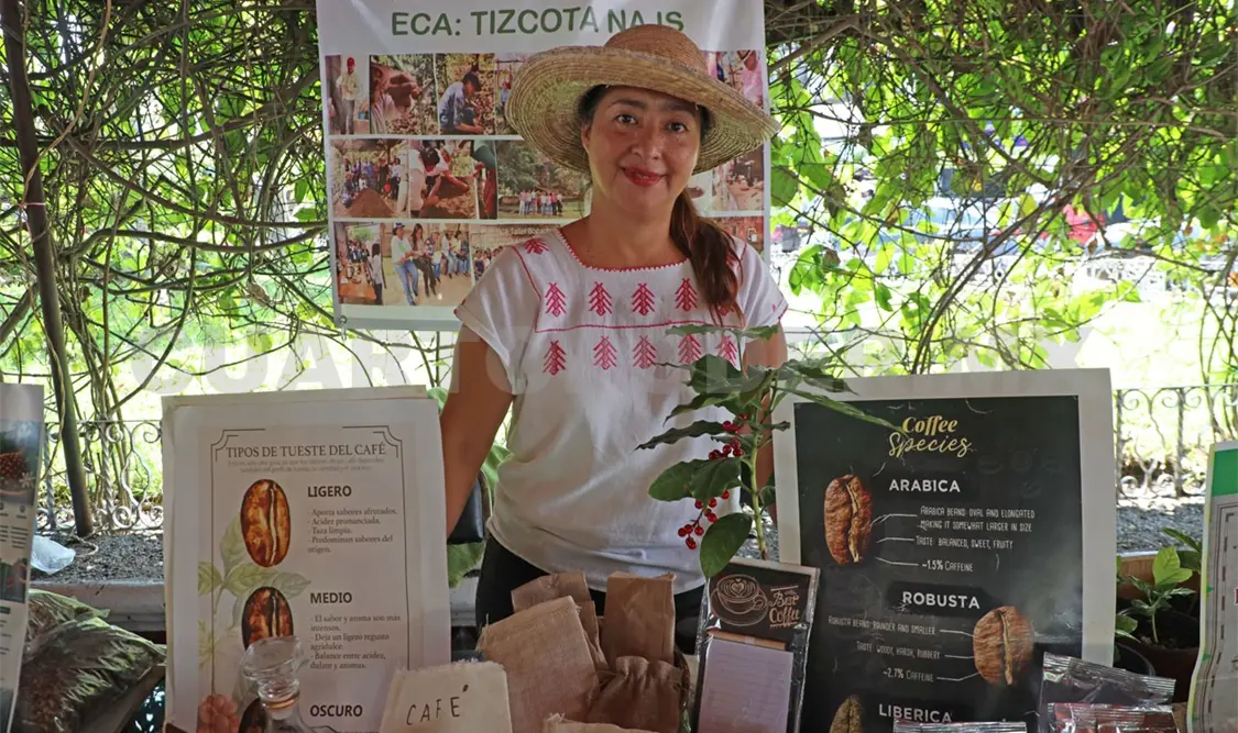Productores de café en Berriozábal perdieron hasta el 70% de cosecha. CP