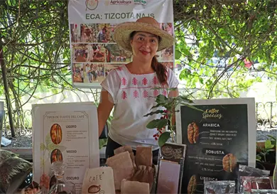 Sequía también golpea a productores de café en Berriozábal Sequía también golpea a productores de café en Berriozábal