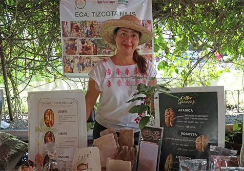 Sequ&iacute;a tambi&eacute;n golpea a productores de caf&eacute; en Berrioz&aacute;bal