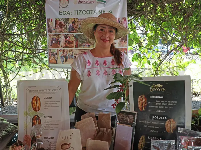 Sequía también golpea a productores de café en Berriozábal Sequía también golpea a productores de café en Berriozábal