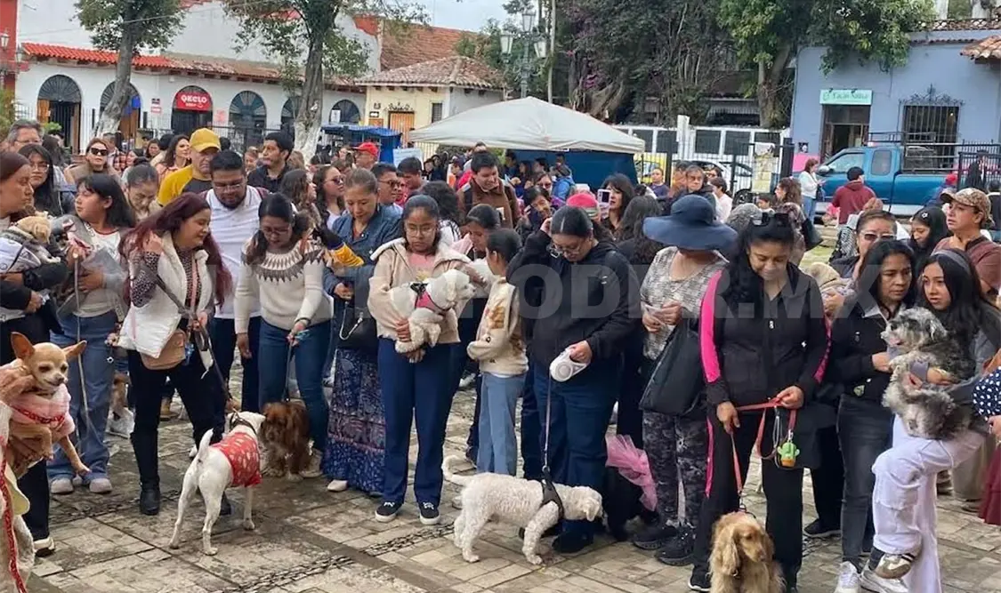 El acto realizado la mañana de este domingo. Manuel Martínez / CP