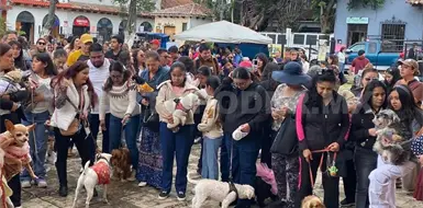 Acuden a bendecir mascotas ante San Francisco de Asis Acuden a bendecir mascotas ante San Francisco de Asis