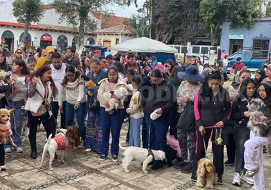 Acuden a bendecir mascotas ante San Francisco de Asis Acuden a bendecir mascotas ante San Francisco de Asis