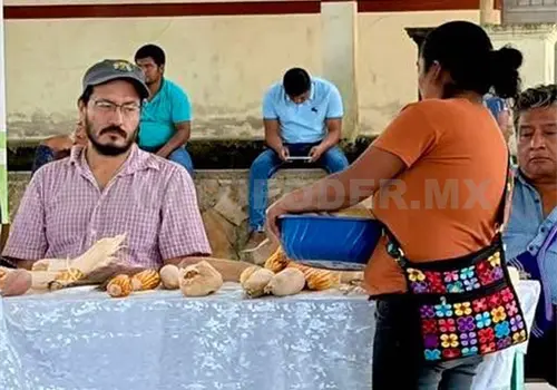 Realizan diálogo sobre la importancia del maíz en México Realizan diálogo sobre la importancia del maíz en México