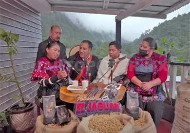 Café chiapaneco, de los mejores del mundo: ERA Café chiapaneco, de los mejores del mundo: ERA