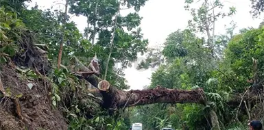 Lluvia ocasiona daños en varios municipios Lluvia ocasiona daños en varios municipios