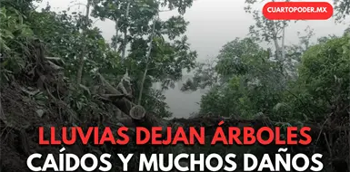 Lluvia ocasiona da&ntilde;os en varios municipios