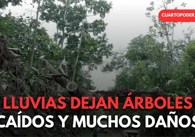 Lluvia ocasiona da&ntilde;os en varios municipios