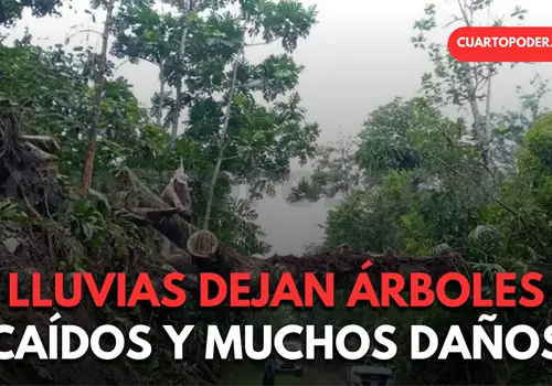 Lluvia ocasiona daños en varios municipios Lluvia ocasiona daños en varios municipios