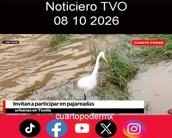 #Noticiero TVO #TuDiarioVivir con Adolfo Luján. #Noticiero TVO #TuDiarioVivir con Adolfo Luján.
