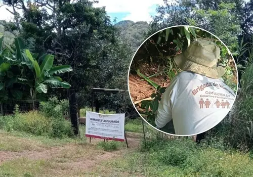 Apoya CNB en investigaci&oacute;n de fosa clandestina