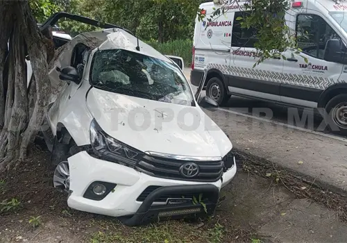 Pick up se estampa contra un &aacute;rbol