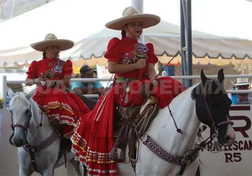 Buscan albergar campeonato nacional infantil