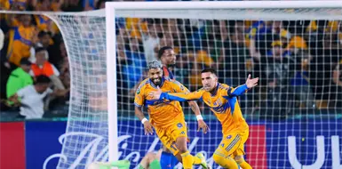 Tigres y León, obligados a sumar en la J11 Tigres y León, obligados a sumar en la J11
