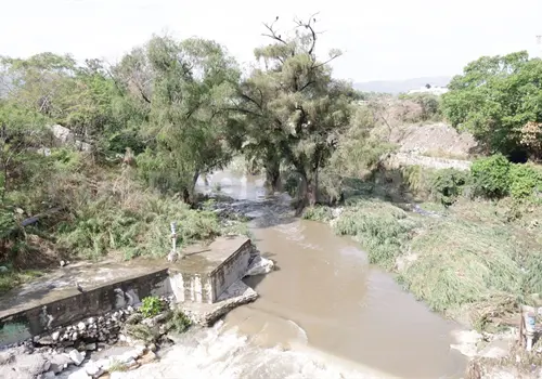 Llaman a plasmar belleza del Sabinal