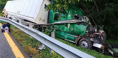 Tráiler acaba entre la maleza tras chocar Tráiler acaba entre la maleza tras chocar