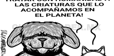 Ley para la protección de los animales Ley para la protección de los animales