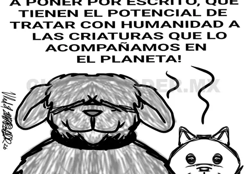 Ley para la protecci&oacute;n de los animales