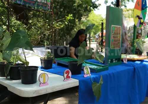 Jard&iacute;n Bot&aacute;nico resguarda m&aacute;s de 700 especies
