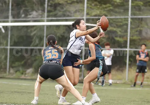Se cimbra el emparrillado de la Unicach