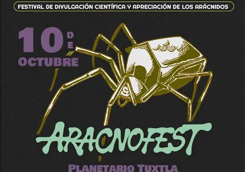 Aracnofest: todo sobre los ar&aacute;cnidos