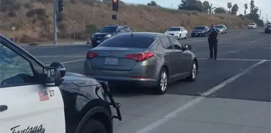 Roban autos de lujo en EUA para entregarlos a capos