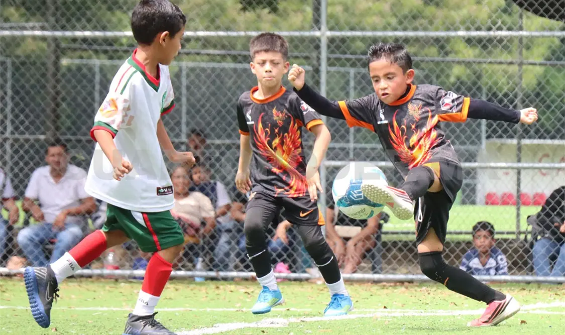 Fénix y Tuzos Tonalá disputaron la final de la Liga Asociada MX de Futbol Infantil en Caña Hueca.