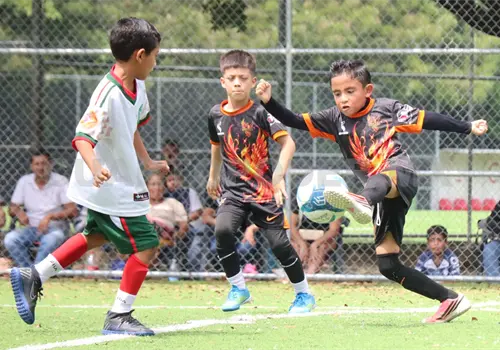 F&eacute;nix cae en la gran final de la Liga Asociada